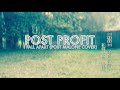 post profit i fall apart post malone cover