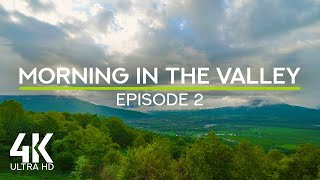 4K Morning in the Valley - Ep 2 | Immersive Mountain Forest Sounds for Calm & Relaxation