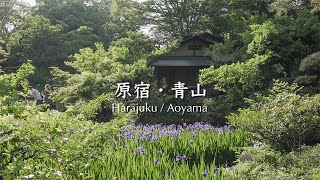 神社や美術館をまわって並木道を歩く【東京散歩51】日々の暮らし