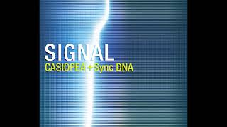 Casiopea \u0026 Sync DNA - Signal (2005)