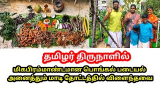 சூரியனுக்கு மிக பிரம்மாண்டமான பொங்கல் படையல் அனைத்தும் மாடித்தோட்டத்தில் விளைந்தவை #gardening