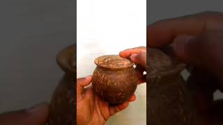 coconut shell jar( ചിരട്ട ഭരണി)#short