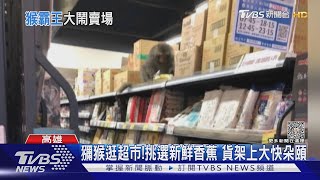 下次可能是你遇到「牠」! 婦逛超市 獼猴從旁經過呷香蕉｜TVBS新聞 @TVBSNEWS01