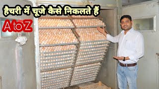 हैचरी में चूजे कैसे निकलते हैं 2 लाख अंडे।। How to make Chicks from eggs | @Poultry