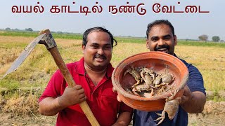 வயல் காட்டில் நண்டு வேட்டை | Village Crab Catching | Vayal Nandu VettaIi | WFT VLog