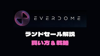 Everdomeランドセール解説　買い方＆戦略