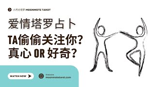 TA关注你的真正原因？对方是否对你感兴趣？塔罗牌占卜 #無時間限制