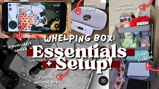 Whelping Box Essentials + SETUP: What You ACTUALLY Need for Your First Litter! #FrenchieBreeders