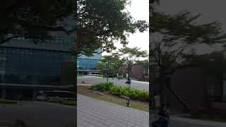 中原大學信實宿舍公車站