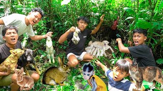 BERBURU HEWAN DI GOA KECIL ADA KELINCI, GUGUK, KUCING, MONYET?