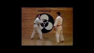 SHINSHINKAN KARATE DO MASTERING ( 2003 ):