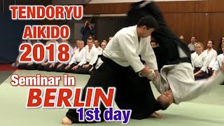 【海外指導】Berlin seminar ① Tendoryu Aikido 2018