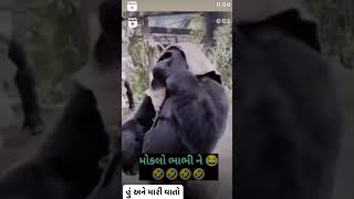 🤣 મારા ભાભી મારા પપ્પા આવે ત્યારે😅🤣છેલ્લે જોજો😜 ગુજજુ||કોમેડી||ગુજરાતી|| @hinajatinpandya