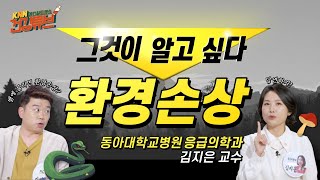 [KNN건강튜브] 뱀에 물리면 환경 손상? 독버섯을 먹어도 환경 손상!