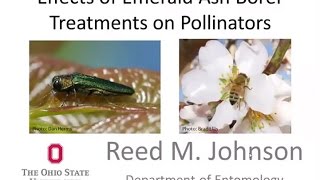 Effects of EAB Treatments on Pollinators