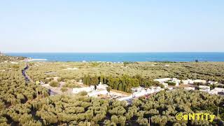 Olive groves sorrounded by sea and mountains - Mattinata countryside (Gargano - Italy) - @DJI Mini 2