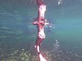 @trinamason free diving fun at blue springs florida swimming healing waters travel vlogger earthing