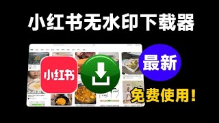 免费无限制使用最新小红书一键无水印下载器