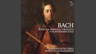 Sonata for Flute and Harpsichord in B Minor, BWV 1030: I. Andante