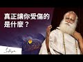 🤔當別人讓你困擾時該怎麼做？| Sadhguru (薩古魯)