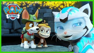 Cat Pack and Tracker save a Monkey in the Jungle! | PAW Patrol | Cartoons for Kids Compilation