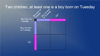 Video Response to "Ted Ed's Frog Riddle is Wrong"