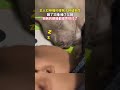 his eyes become voice activated lights by snoring 主人打呼噜吵的狗子怀疑狗生 shorts