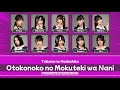 [Color Coded] Takane no Nadeshiko - Otokonoko no Mokuteki wa Nani ? (男の子の目的は何？) Lyrics KAN/ROM/IDN