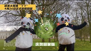 大熊猫“丫丫” 4月26日启程回国，终于等到你! The giant panda \