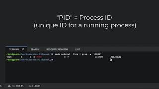 Full Stack Web Developer Course: (misc) - Killing a Rogue Node Process