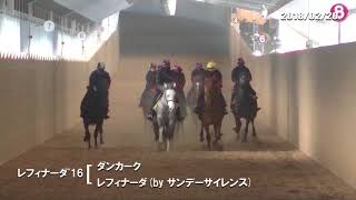 02/20　レフィナーダ'16（父ダンカーク　母父サンデーサイレンス）調教