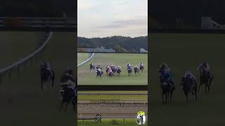 外人POV 東京競馬場「G1] マイルCS 「ルーメルなにこれ？」#競馬 #tokyo #horse #shorts