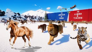 75 Horses & Cows VS 75 Lions & Tigers Animals Race in Christmas Track 2 Planet Zoo included Liger