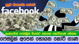 ෆේස්බුක් සමාගම මාසේකට ලංකාවේ අපෙන් හොයන කෝටි ගාණ මෙන්න - Facebook Income per month in Sri lanka