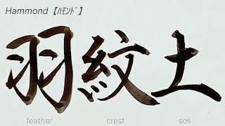 Hammond【ﾊﾓﾝﾄﾞ】アメリカ合衆国の名字を漢字に変換して書きます【Japanese】