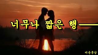 너무나 짧은 행복  -  나훈아