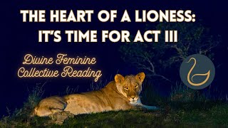 Radiating Lioness Power 🦁☀️ It's Time for Act III 🎬 DIVINE FEMININE COLLECTIVE READING