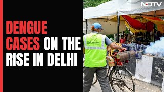 Delhi Dengue Cases Double In Nearly A Week