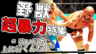 【藤田和之】キレた野獣が相手を病院送りにしまくるだけの動画！ベストバウト KO集 総合格闘技 プロレス