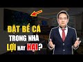 ĐẶT BỂ CÁ trong nhà như thế nào là LỢI và HẠI trong phong thủy? Cách đặt BỂ CÁ kích tài lộc