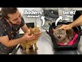 2 CATS IN 1 VIDEO! 😍 ( Totally Opposite Characters! )