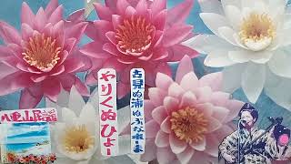 古見ぬ浦ぬぶなれ一ま・やりくぬひょ一・八重山民謡稽古参考音源・H8・6・24日闘病中稽古風景・歌三味線呉屋初美40歳・1215