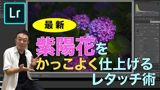 【2020年】紫陽花をかっこよく仕上げる最新のレタッチ術