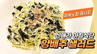 (신애라) 화제의 저속노화 식단! 양배추와 김만 있으면 되는 #양배추샐러드 만들기 #애라원