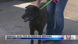 Colbert County Animal Shelter in Need of Repairs