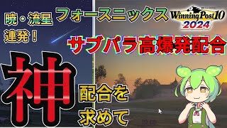 高爆発力！しかも簡単！ウイニングポスト10 2024神配合教えます！【ずんだもん】