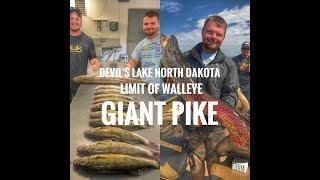 Devils Lake ND Fishing | Limit of Walleye and Giant Pike