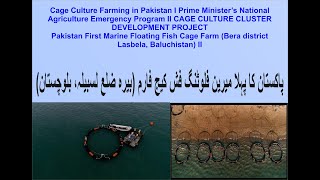 Cage Culture Farming in Pakistan