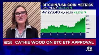 ARK Invest CEO Cathie Wood: Our base case for bitcoin is $600,000, bull case $1.5 million by 2030