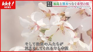 【熊本地震から7年】福島と熊本つなぐ滝桜 住民の希望に(2023年4月12日)